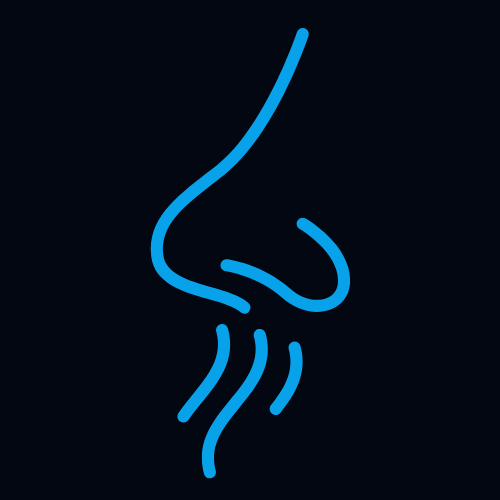 A simple blue outline of a human nose with three wavy lines below it, representing the sense of smell, is set against a black background.